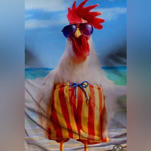 DON’T’T WAIT! DO IT NOW! - Picture 12 of 15